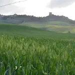 Val D'orcia Nel Borgo Castiglione dʼOrcia