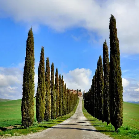 Val D'orcia Nel Borgo Apartamento